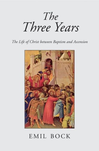 The Three Years: The Life of Christ between Baptism and Ascension