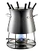 Kitchen & Housewares : Bodum Stainless-Steel Fondue with Glass Insert