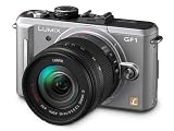 Panasonic Lumix GF1 12.1MP Digital System Camera 14-45mm Lens Kit - Silver