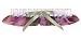 Hortense B. Hewitt Wedding Accessories, Brides Garter, Jump Inspirations
