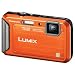 Panasonic Lumix TS20 16.1 MP TOUGH Waterproof Digital Camera with 4x Optical Zoom (Orange)