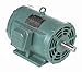 10hp 1760RPM 215T Frame 208-230/460 Volts Open Drip Leeson Electric Motor # 170144