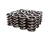 Competition Cams 901-16 Single Valve Springs