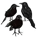 Brand New Lot of 9 Halloween Black Feathered Crows Ravens Props Decor Decorations Birds