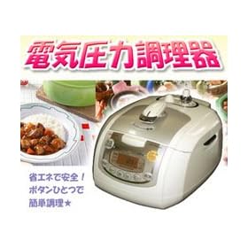 �G�X�P�C�W���p�� �d�C���͒�����(6��)���ъ� SKJ-CU0610
