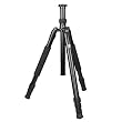 Sirui T-1004X Reise-Dreibeinstativ (1100g, 140cm, max. 10kg Tragekraft, Aluminium, Tasche) ohne Kopf