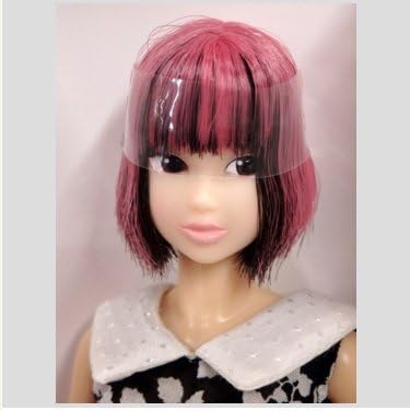 momokoDOLL CCS-momoko 11SS Home blackberry New