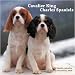 Cavalier King Charles Spaniels 2010 Wall Calendar