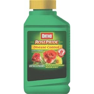 Ortho 0295160 Rose Pride Rose & Shrub Disease Control - Pint