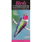 birds of northern arizona including flagstaff sedona  grand canyon national park a guide to common  notable