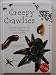 Creepy Crawlies (Q & A Natural World)