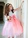 Kid Collection Layered Organza Ruffle Skirt Holiday Christmas Party Flower Girl Dress