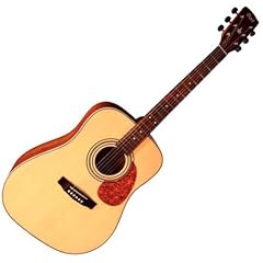 Cort Earth 70 NS