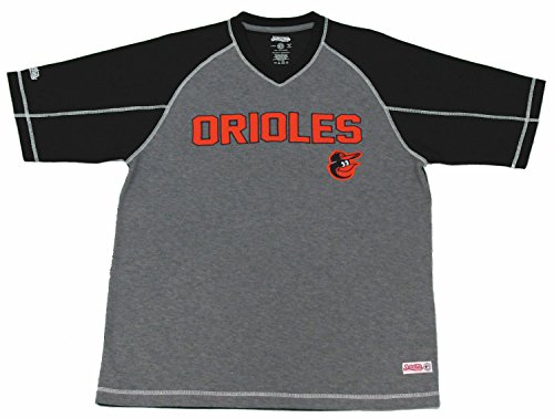MLB Baltimore Orioles Men's Fine Gauge Mesh V-Neck Raglan Shirt