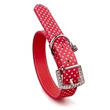 Hunde Halsband