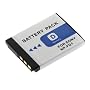 Sony Cybershot NP-FD1 Replacement Battery