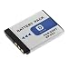 High Capacity InfoLithium NP-FD1 Replacement Lithium-Ion Battery for Sony Cyber-shot DSC-G3, Cyber-shot DSC-T77, Cyber-shot DSC-T500, Cyber-shot DSC-T700 Digital Cameras
