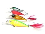 Kamikaze Hard Body Lures and Bag - Shallow Diver E