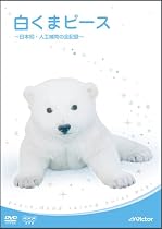 白くまピース ~日本初・人工哺育の全記録~ [DVD]
