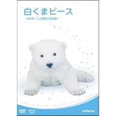 �����܃s�[�X ~���{���E�l�H�M��̑S�L�^~ [DVD]
