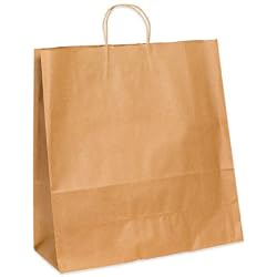 18" x 7" x 18 3/4" White Shopping Bag&yuml; (BGS111W) Category: Paper Shopping Bags