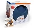 Gaiam Abs Ball Workout Kit