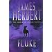 Fluke