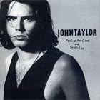 Click here to buy Feelings Are Good and Other Lies by  John Taylor .