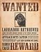TIN SIGN NOSTALGIC ~ ANIMALS ~ BLACK LAB WANTED POSTER