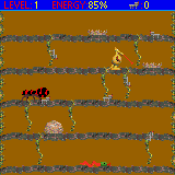 Aardvark Antics downloadable Software