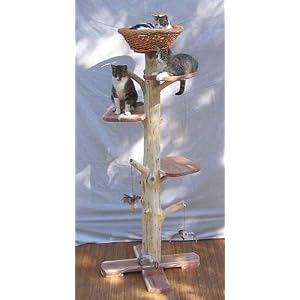 One of a Kind 5 Foot 4 Inch Cedar Cat Tree