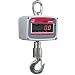 Ohaus Painted Cast Aluminum NTEP Certified Economy Crane Scale, 100kg x 0.05kg