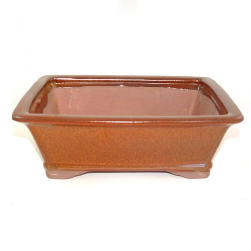 26cm Brown Glazed Bonsai Pot