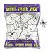 GIANT SPIDER WEB