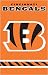 bengal48  - Cincinnati Bengals Orange Applique Banner Flag