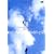 �����C�E�V���V���̂��ׂ� �ʏ�� [DVD]
