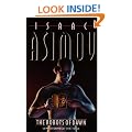 The Robots of Dawn (Panther Books)