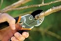 Fiskars 9110 Traditional Power-Lever Anvil Pruner