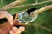 Fiskars 9110 Traditional Power-Lever Anvil Pruner