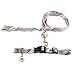 PET SET--MED -DET LIONS - Medium