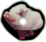 Valentines Performing Pigs