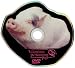 Valentines Performing Pigs
