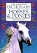 Books : Dictionary Of Horses And Ponies (Usborne Dictionary of Horses & Ponies)