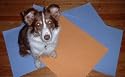 Aquamat Pet Grooming Towel - Perfect for Long Haired Dogs and Cats (Orange)
