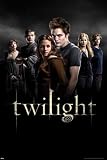 Empire Merchandising 108593 Twilight Group Poster Plakat, 91,5 x 61 cm