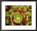 41BQU%2Bz NlL. SL75  Destination Wedding Photography Tips For Professional Wedding Photographers