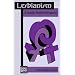 Lesbianism: A Socialist Feminist Perspective