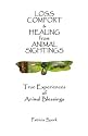 Loss Comfort & Healing from Animal Sightings: True Experiences of Animal Blessings
