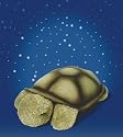 Cloud b Twilight Turtle - Constellation Night Light