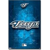 (22x34) Toronto Blue Jays Logo 2011 Sports Poster Print